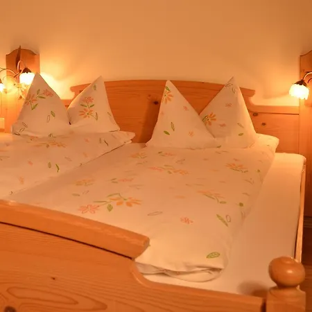 Hotel Lenzenhof 3*
