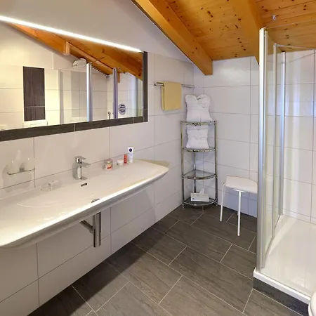 Hotel Lenzenhof 3*