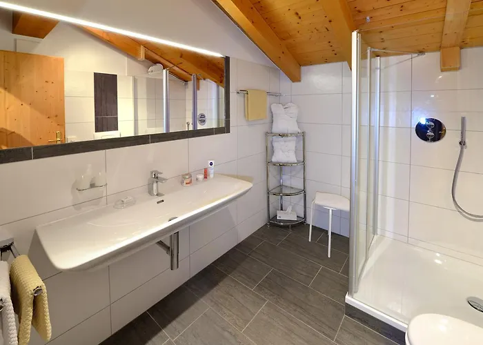 Hotel Lenzenhof 3*